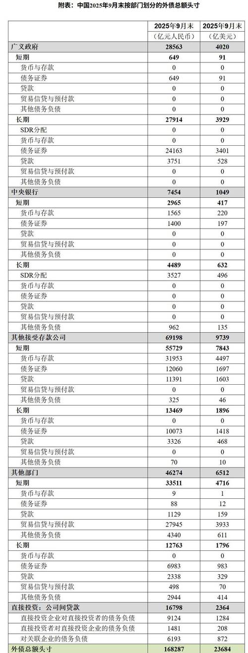 中国外债数据2025_国家外汇管理局的工资_外债币种结构分析