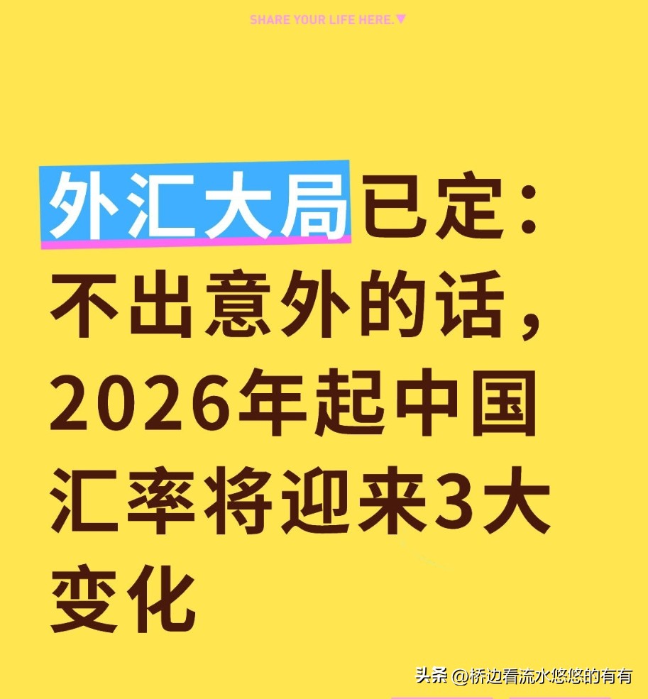 外汇业务办理便利化_中国外汇市场的发展_人民币汇率走势