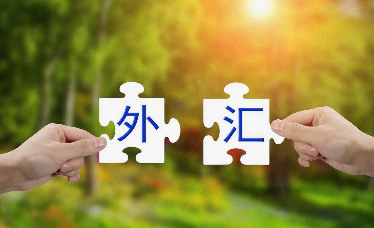 跨境支付体系变化_人民币汇率基本稳定_国际外汇交易