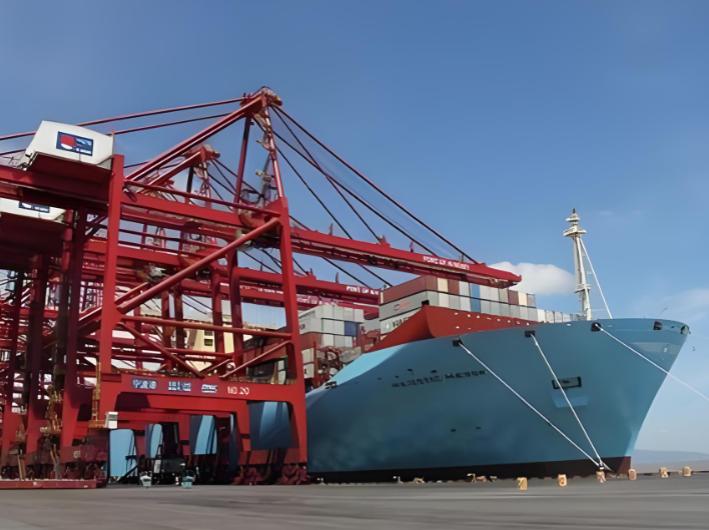 外汇储备管理_2026外汇政策学习心得_中国金融安全