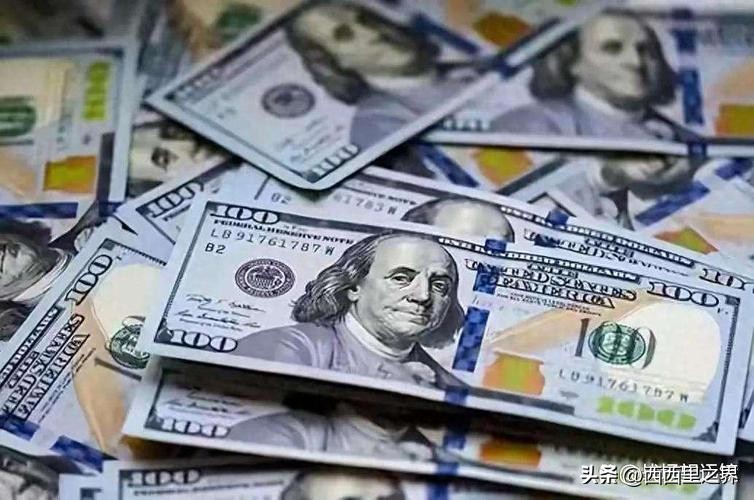 金融危机下美元反而升值_美元霸权在危机中强化_我国现行外汇储备管理