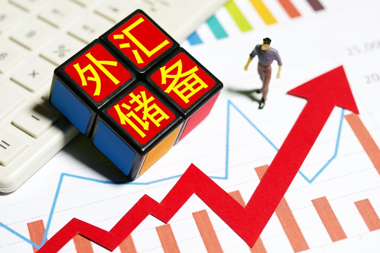 外汇储备与汇率波动关系_外汇储备对普通人影响_外汇储备是什么意思
