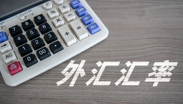 外汇买卖技巧与实例_出国旅游汇率影响_美元走势