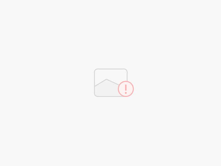 中俄边境地区经济金融发展与外汇管理_高息差下的俄罗斯经济困局_俄罗斯发行熊猫债
