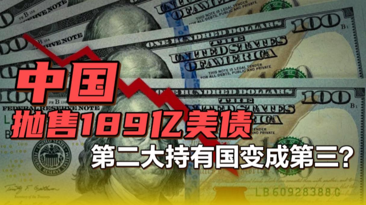 全球主要经济体减持美债_中日印减持美债原因分析_我国外汇储备币种