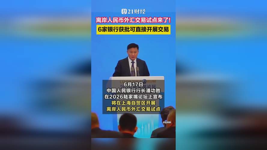 外汇资金_离岸人民币外汇交易平台_外汇交易中心试点银行名单
