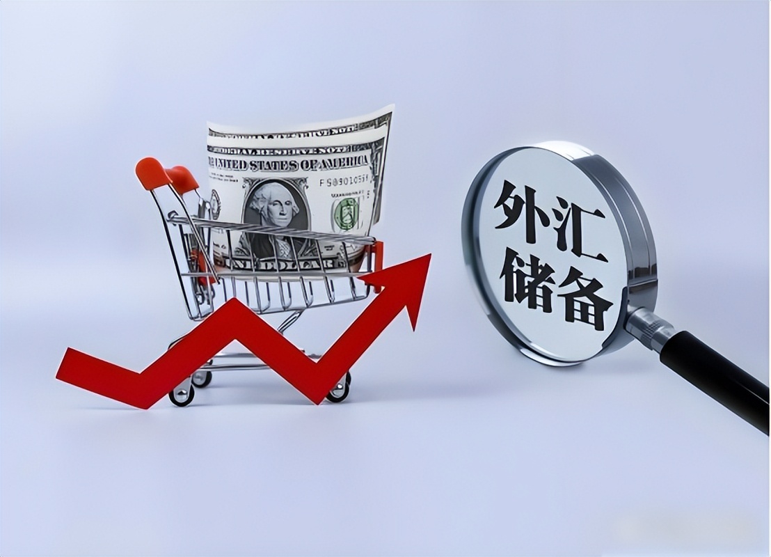 外汇储备撑起高房价_中国外汇储备增长趋势_外储数据解读