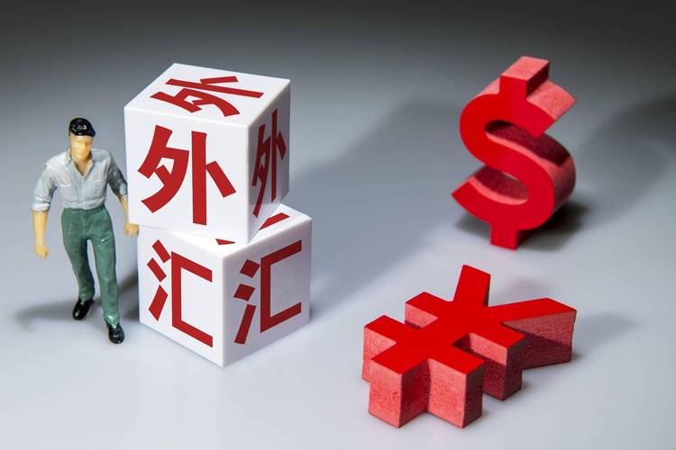 国家外汇管理局下半年外汇管理交流会_货物贸易外汇管理_外汇领域深层次改革和高水平开放